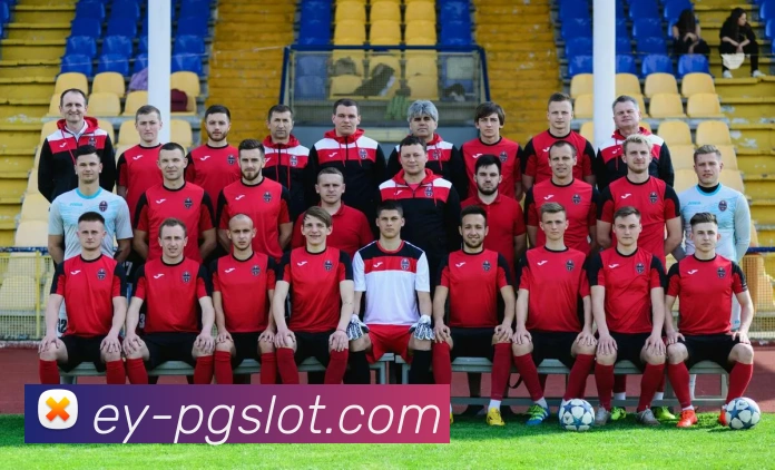 PG娱乐官网平台生态图